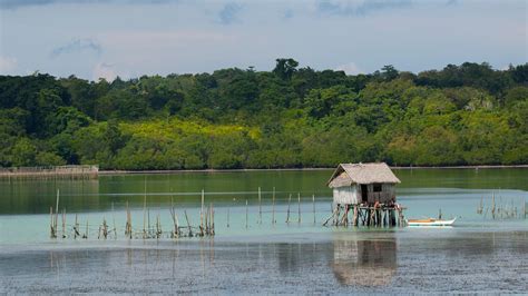 Cheap Flights to Tagbilaran from ₱1,637 .
